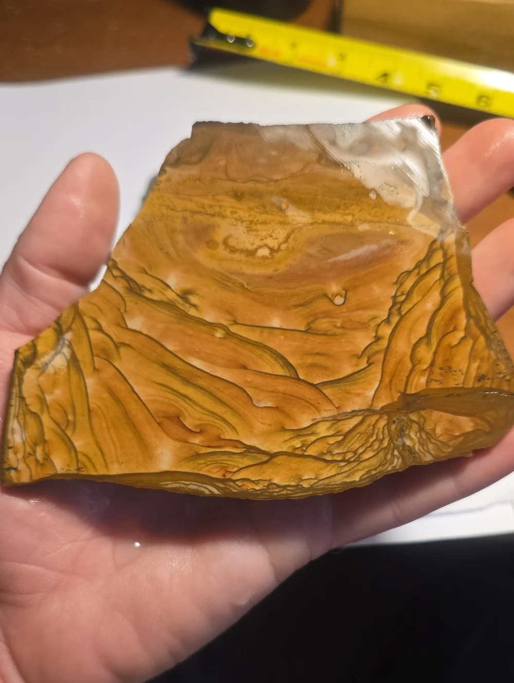 Old Stock Biggs Oregon Picture jasper Slab 147.49g